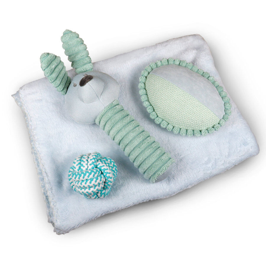 Tootoy! Comfort Pack de Bienvenida para cachorros thumbnail