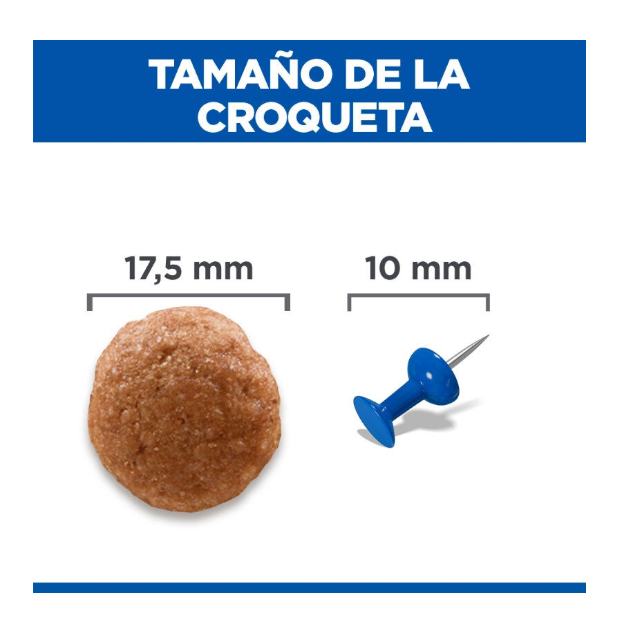 14 kg Hill's Science Plan Perfect Digestion Adult large Pollo pienso para perros, , large Imagen numero 4
