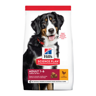 Hill's Science Plan Adult Large Pollo pienso para perros