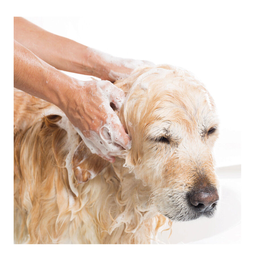 Beaphar Champú Repelente para perros y gatos thumbnail