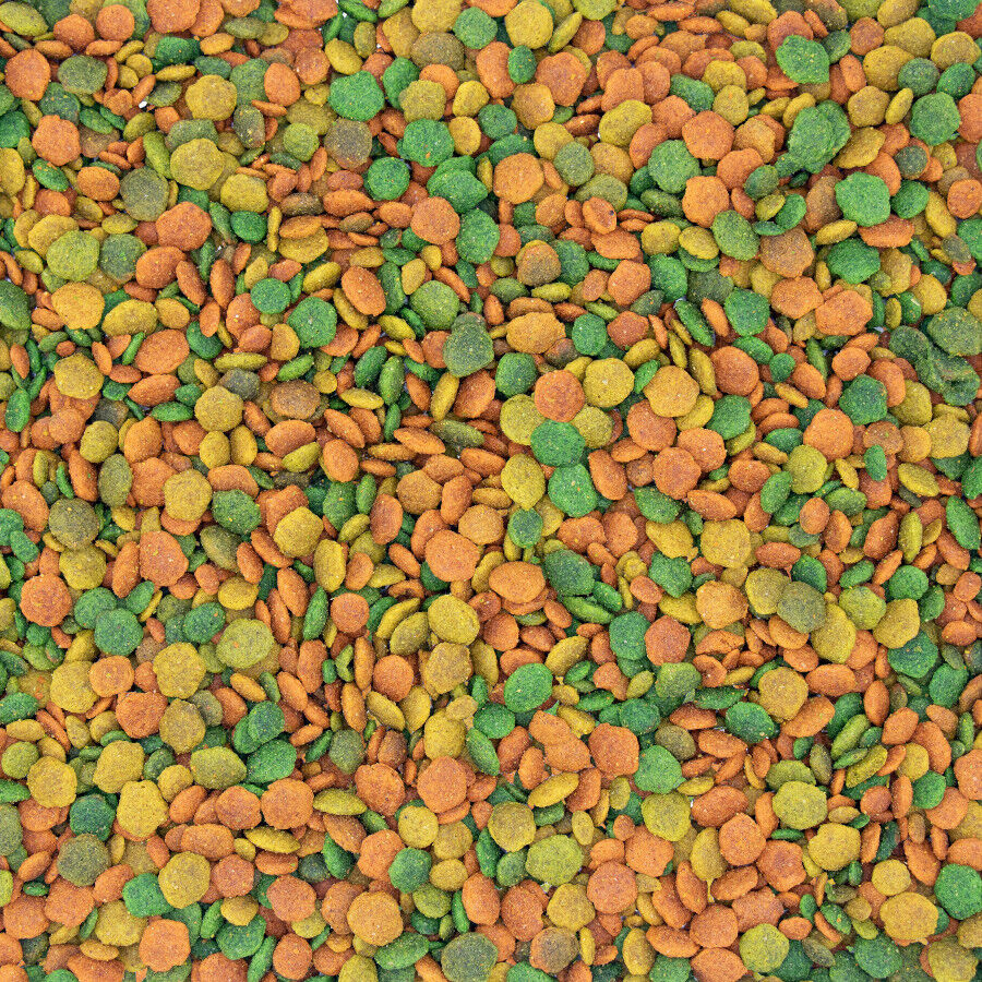 NutriBird G14 Tropical alimento para aves, , large Imagen numero 2