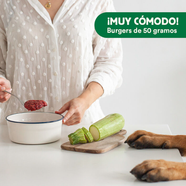 Wild Balance Barf Menú salmón con verduras comida congelada para perros thumbnail