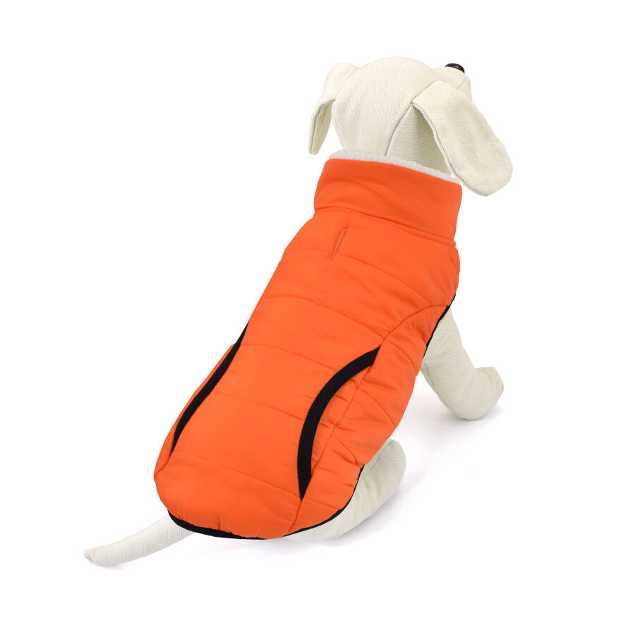 Outech Pawprint Abrigo para perros, , large Imagen numero 1