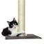 Rascador Catshion Pole Gris varios tamaños indicador imagen numero 2