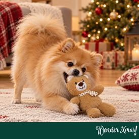Wonder Christmas Oso Caramelo Peluche para perros