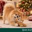 Wonder Christmas Oso Caramelo Peluche para perros, , large indicador imagen numero 2