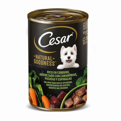 Cesar Cordero lata para perros 
