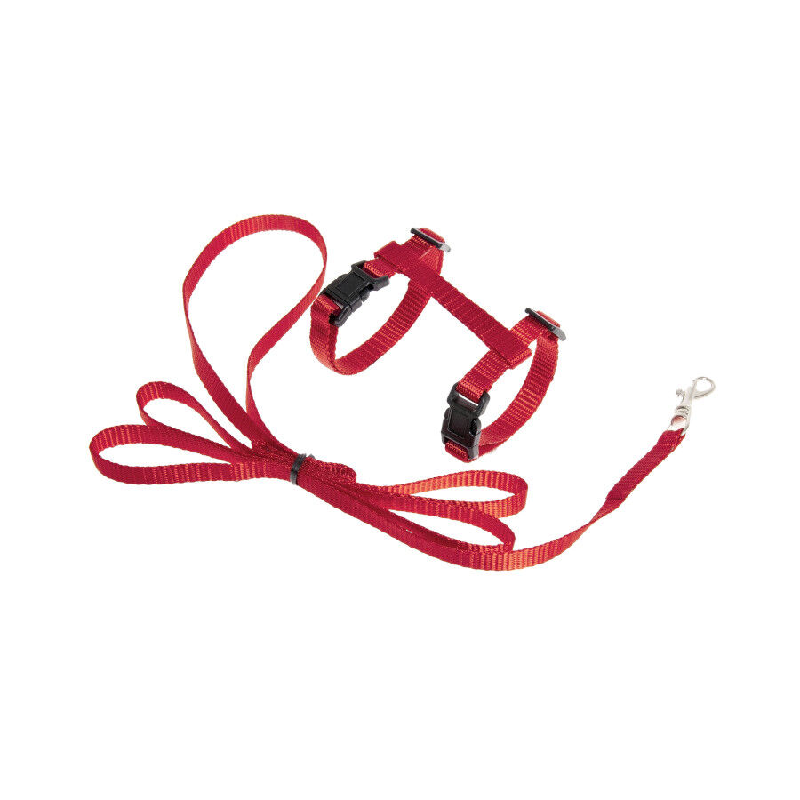 Flamingo Arn&eacute;s con Correa Ziggi Rojo para gatitos, , large Imagen numero 1