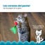 Outward Hound Catstages Dental Cherries Peluche Suave de Cerezas para gatos, , large indicador imagen numero 6