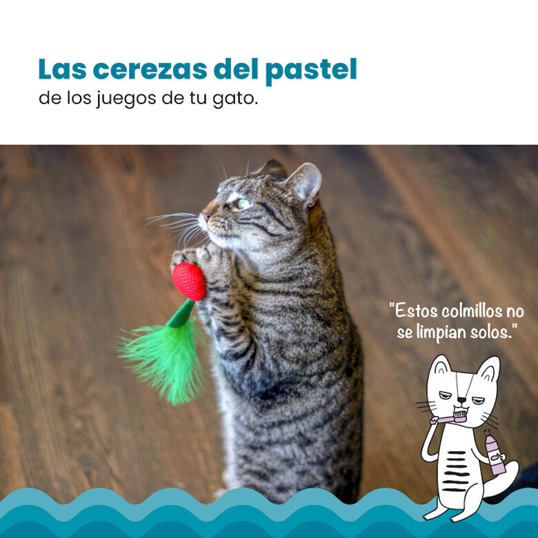 Catstages Dental Cherries Peluche Suave de Cerezas para gatos,  Imagen numero 6 Catstages Dental Cherries Peluche Suave de Cerezas para gatos, , large Imagen numero 6