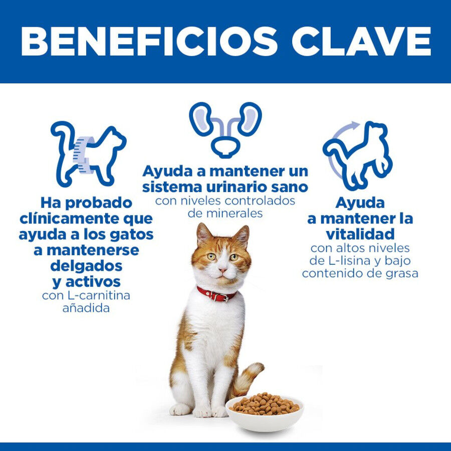 10 kg Hill's Science Plan Sterilised Adult Salm&oacute;n pienso para gatos, , large Imagen numero 5