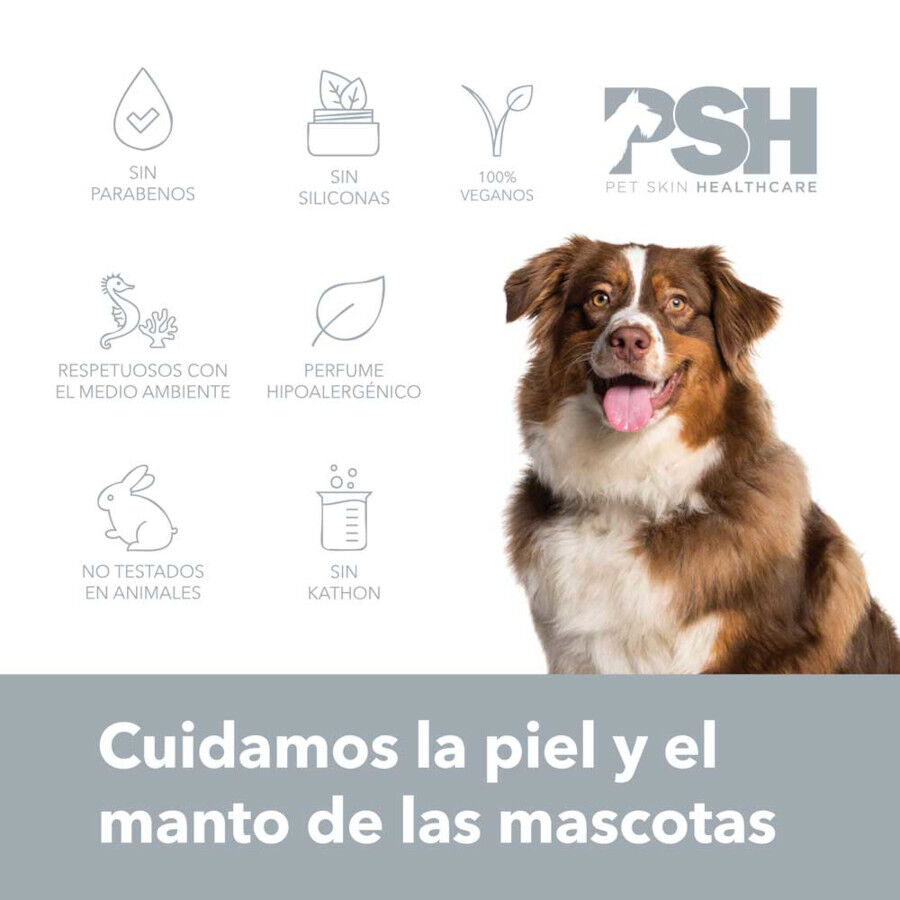PSH Petbox Beauty Ritual Kit de Higiene para perros thumbnail