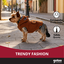 Gotoo Abrigo Teddy Marr&oacute;n para perros, , large indicador imagen numero 6