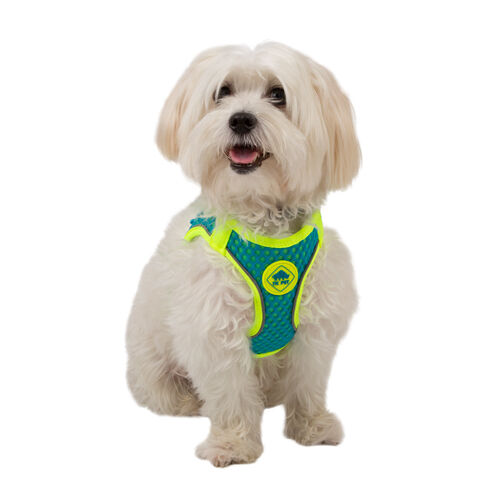 TK-Pet Easy Click azul arn&eacute;s para perros Imagen numero 1