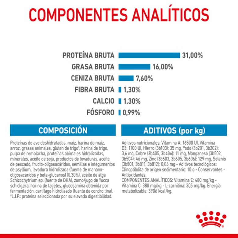 Royal Canin Junior Giant pienso para perros, , large image number null