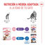 85 g Royal Canin Kitten Sterilised salsa sobre para gatos, , large indicador imagen numero 6