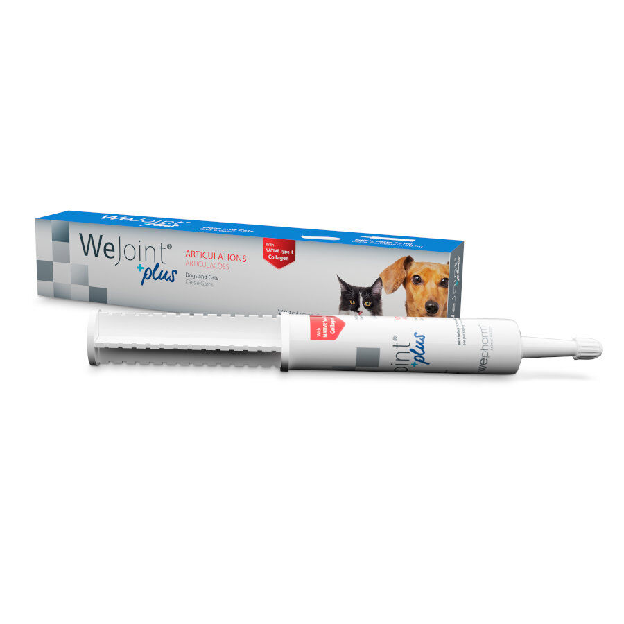 Wepharm Wejoint Plus pasta Suplemento para c&atilde;es e gatos, , large Imagen numero 1