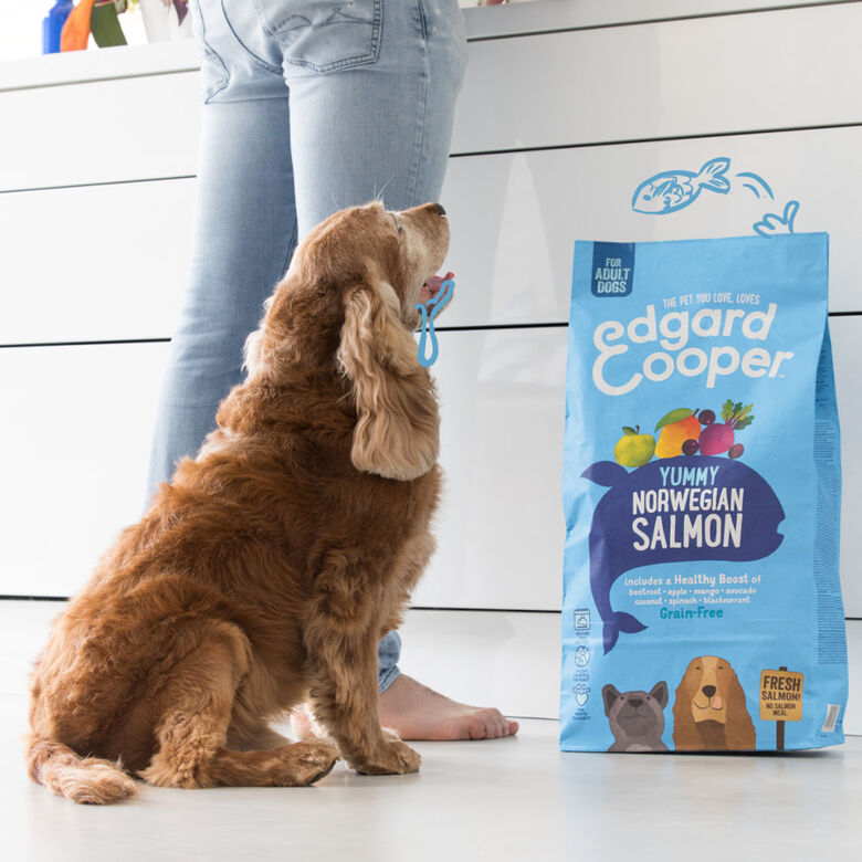 Edgard &amp; Cooper Adult Salmón pienso para perros thumbnail