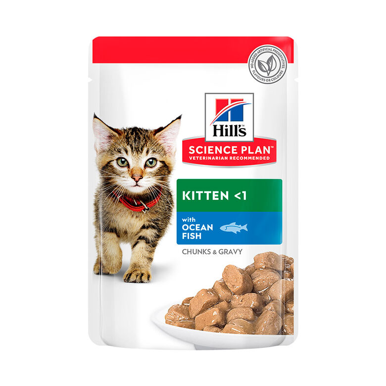 Hill&#039;s Science Plan Kitten Pescado Azul sobre para gatos