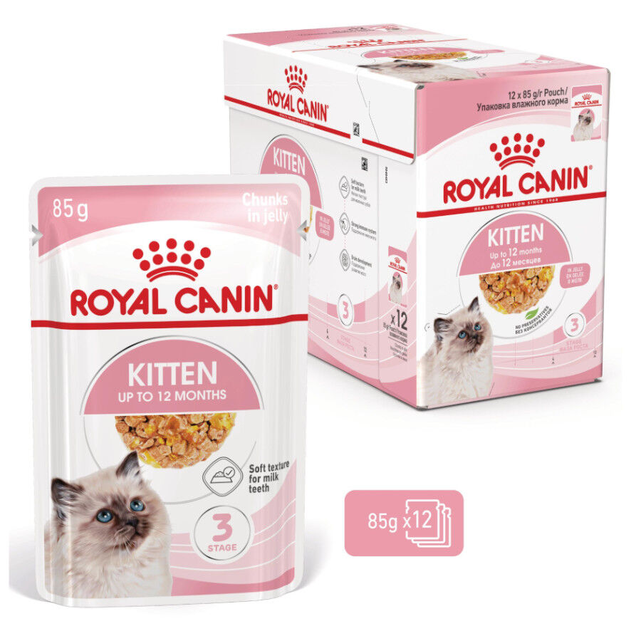 Royal Canin Kitten comida húmeda en gelatina sobre para gatitos thumbnail