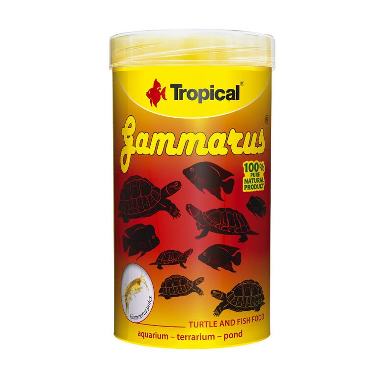 Tropical Gammarus alimento para reptiles thumbnail