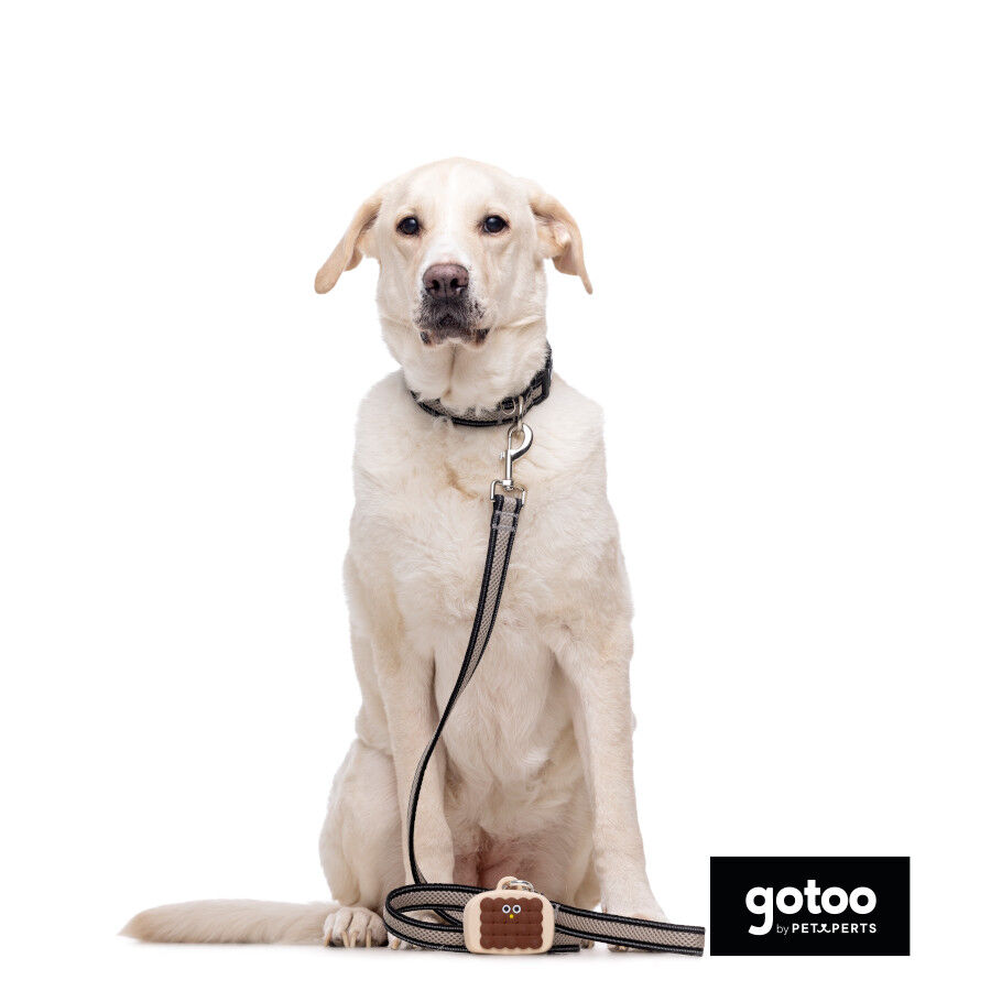 Gotoo Collar de malla transpirable gris para perros thumbnail