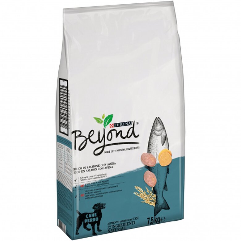 pienso_perros_beyond_purina_salmon_avena_BEY12321430_M Imagen numero 1 Beyond pienso Purina Simply 9 de salmón y avena Imagen numero 1