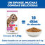 1.5 kg Hill's Science Plan Senior 11+ Small y Mini pollo pienso para perros, , large indicador imagen numero 6