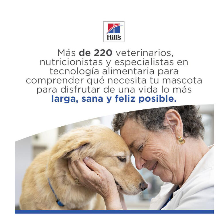 Hill&#039;s Science Plan Hipoalergénico Small y Mini Salmón pienso para perros thumbnail