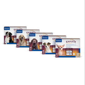 Effitix Antiparasitario en Pipetas para perros