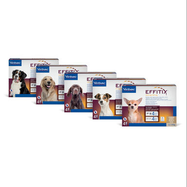 Effitix Antiparasitario en Pipetas para perros