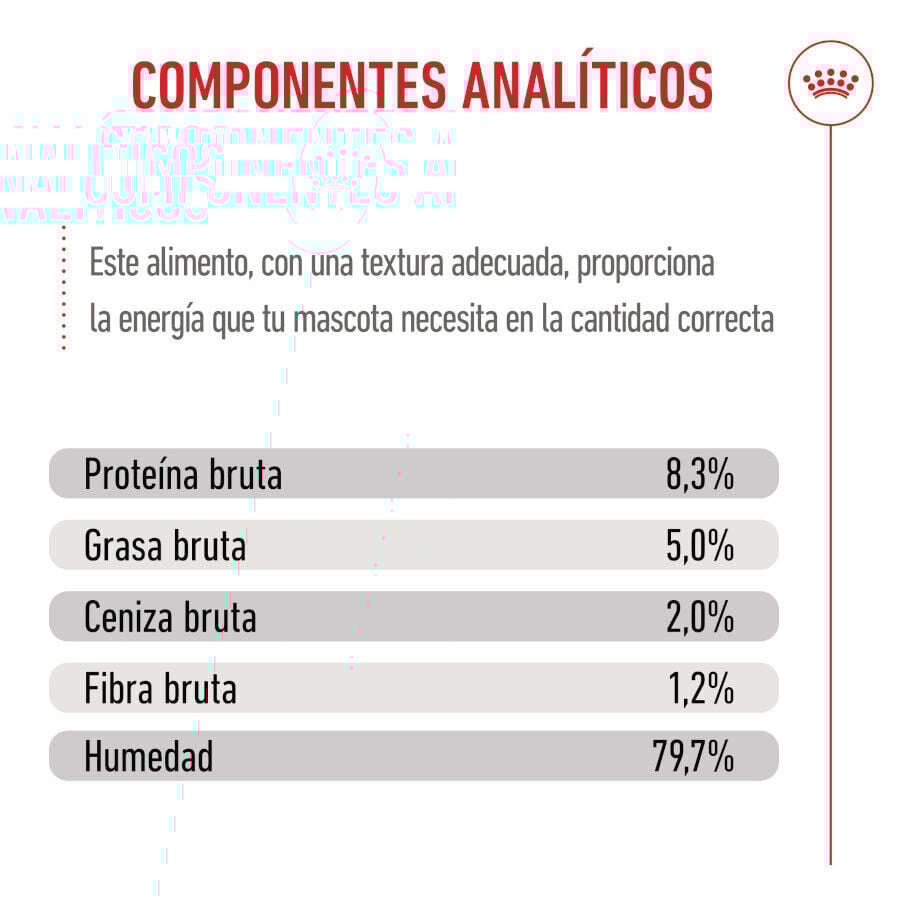 Royal Canin Húmedo Maxi Puppy sobre para perros thumbnail