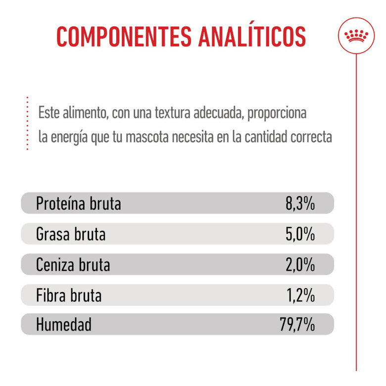 140 g Royal Canin Húmedo Maxi Puppy,  Imagen numero 8 140 g Royal Canin Húmedo Maxi Puppy, , large Imagen numero 8