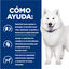 Hill's Prescription Diet Kidney k/d +  Mobility j/d estofado pollo y verduras lata para perros, , large indicador imagen numero 3
