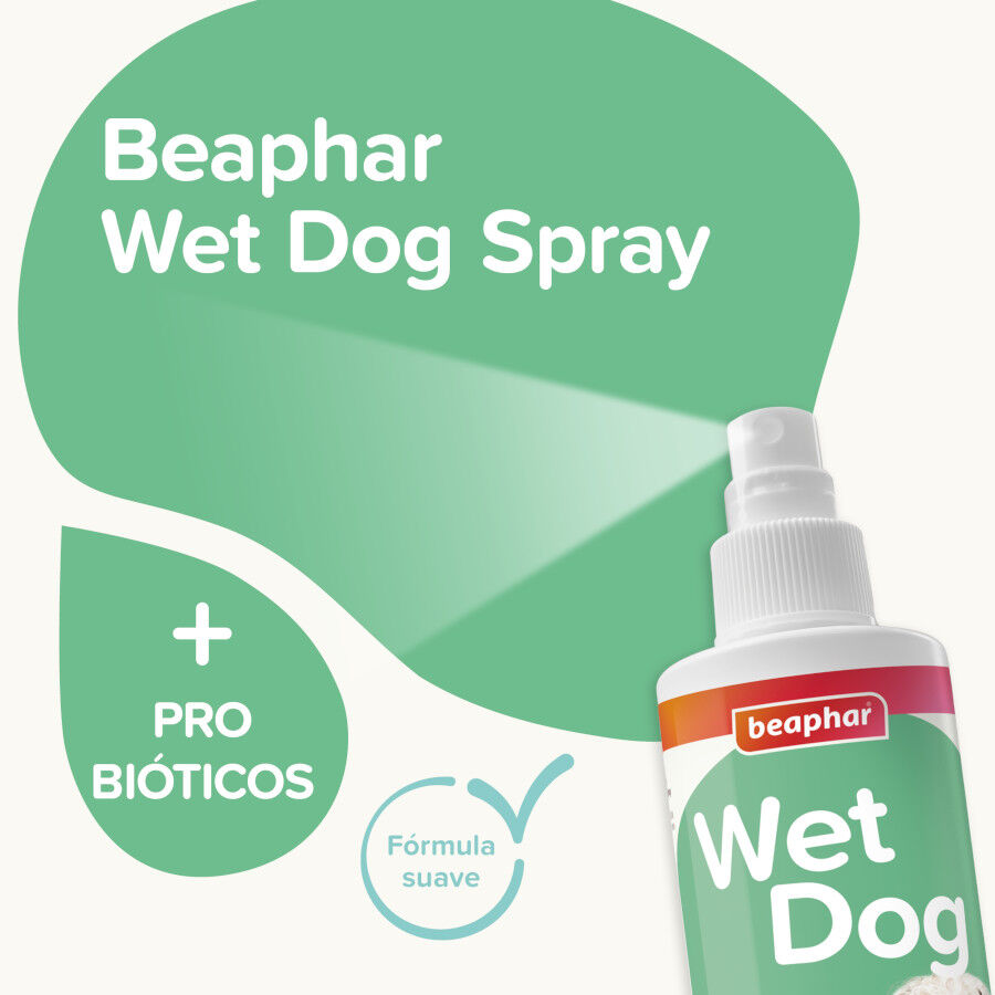 Beaphar Wet dog spray antiolor para perros, , large Imagen numero 2