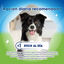 5 barritas Dentalife Snacks Dentales Medium ActivFresh para perros, , large indicador imagen numero 4