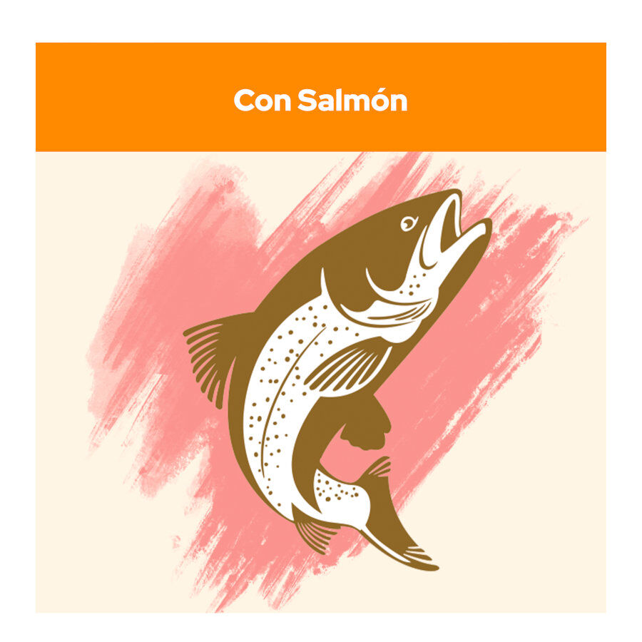 Cat Chow Adult Salmón Pienso para gatos thumbnail