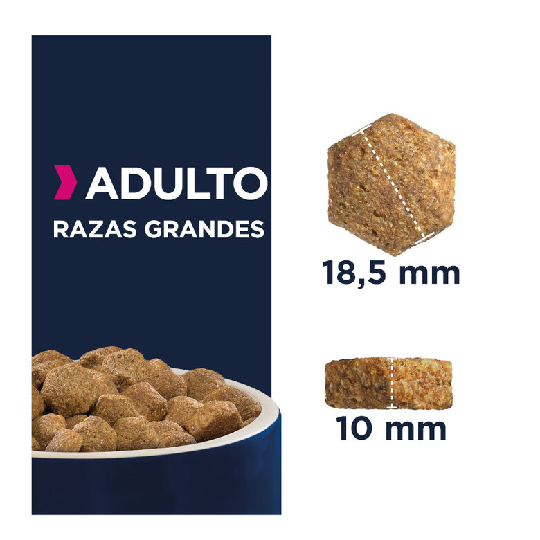 Eukanuba Adult Large Pollo pienso para perros, , large image number null