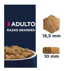 Eukanuba Adult Large Pollo pienso para perros, , large image number null