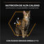 Pro Plan Adult OptiDerma Salmón pienso para gatos, , large indicador imagen numero 6
