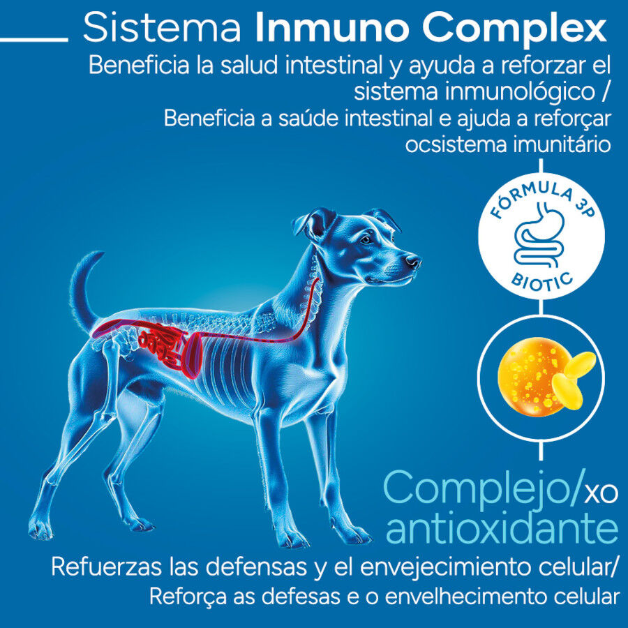 Criadores Cient&iacute;fico Light -46% contenido graso Adulto Mini Pienso Pollo para perros, , large Imagen numero 3