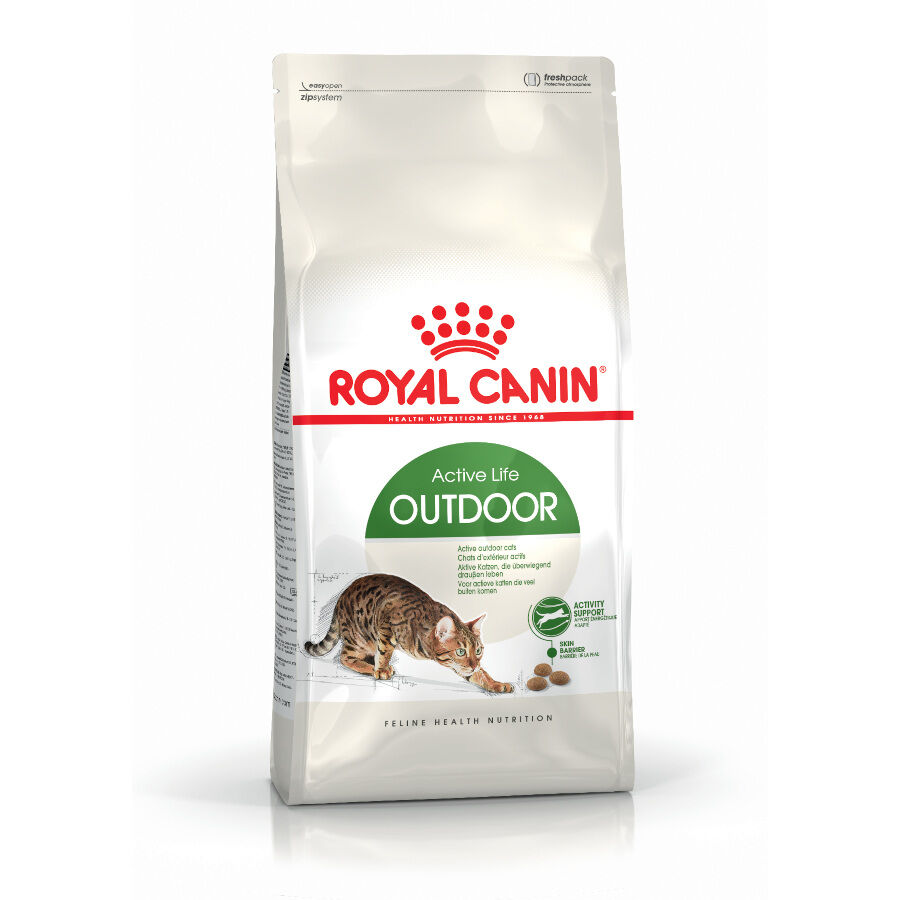 Royal Canin Active Life Outdoor pienso para gatos
