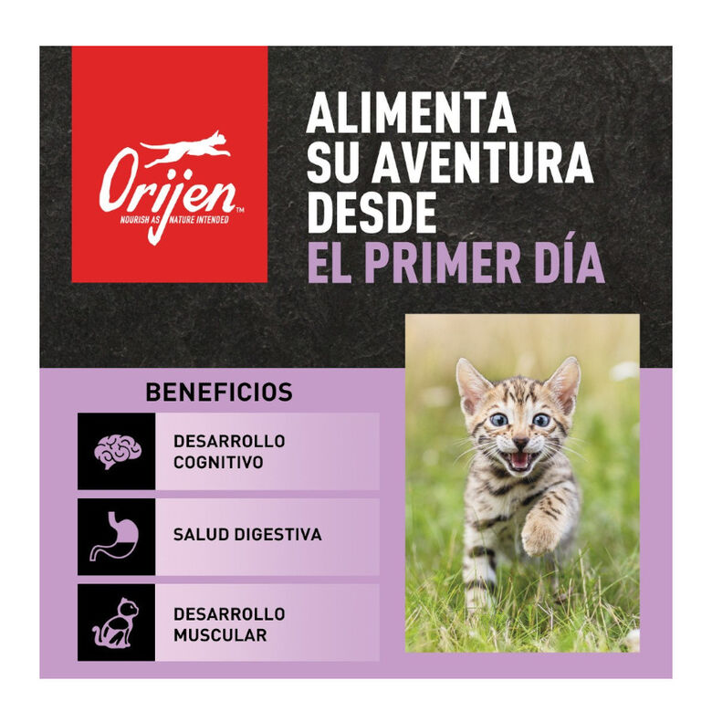 Orijen Kitten Aves y Pescado pienso para gatitos thumbnail