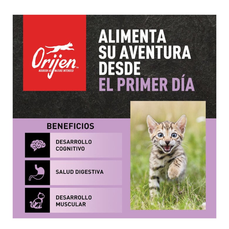 1.8 kg Orijen Kitten Pollo con Pavo y Salmón pienso para gatitos,  Imagen numero 2 1.8 kg Orijen Kitten Pollo con Pavo y Salmón pienso para gatitos, , large Imagen numero 2