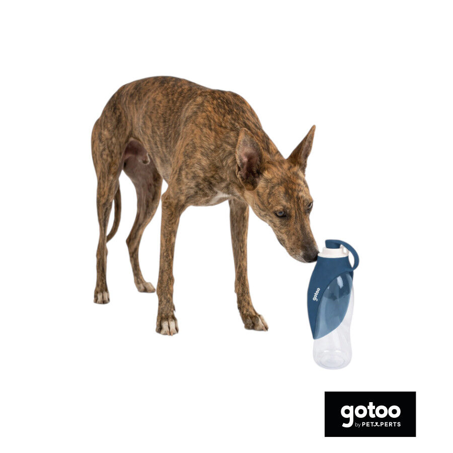 Gotoo Botella Bebedero Port&aacute;til de Silicona Azul para perros y gatos, , large Imagen numero 7