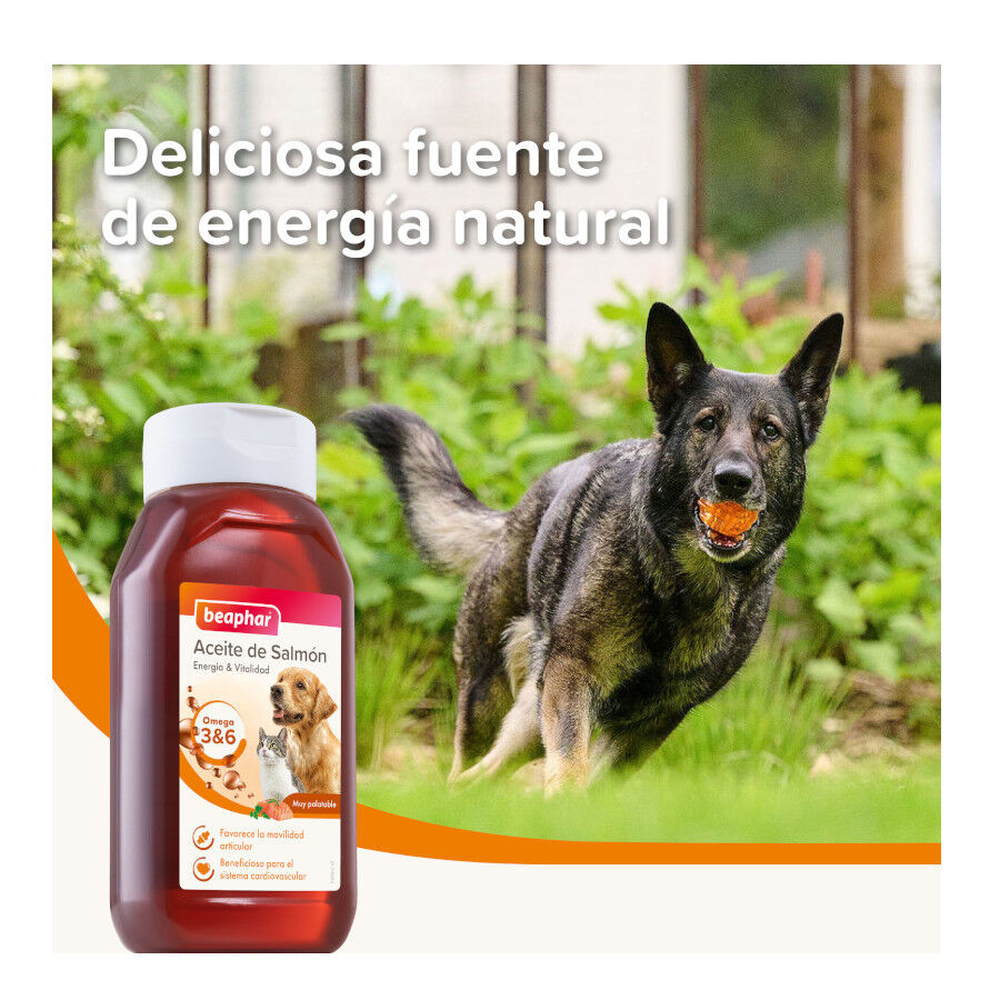 Beaphar Aceite de Salmón para perros y gatos thumbnail