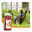 Beaphar Aceite de Salmón para perros y gatos, , large indicador imagen numero 3
