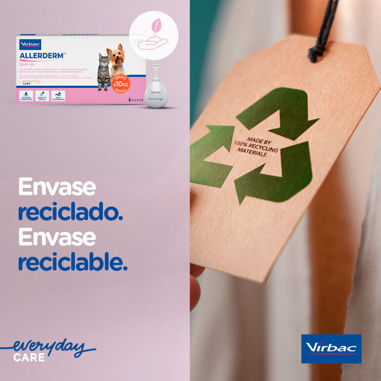 Virbac Allerderm spot on Pipetas dermatológicas para el cuidado de la piel Perros y Gatos. thumbnail