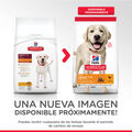 Hill's Large Adult Science Plan Pollo pienso para perros, , large image number null