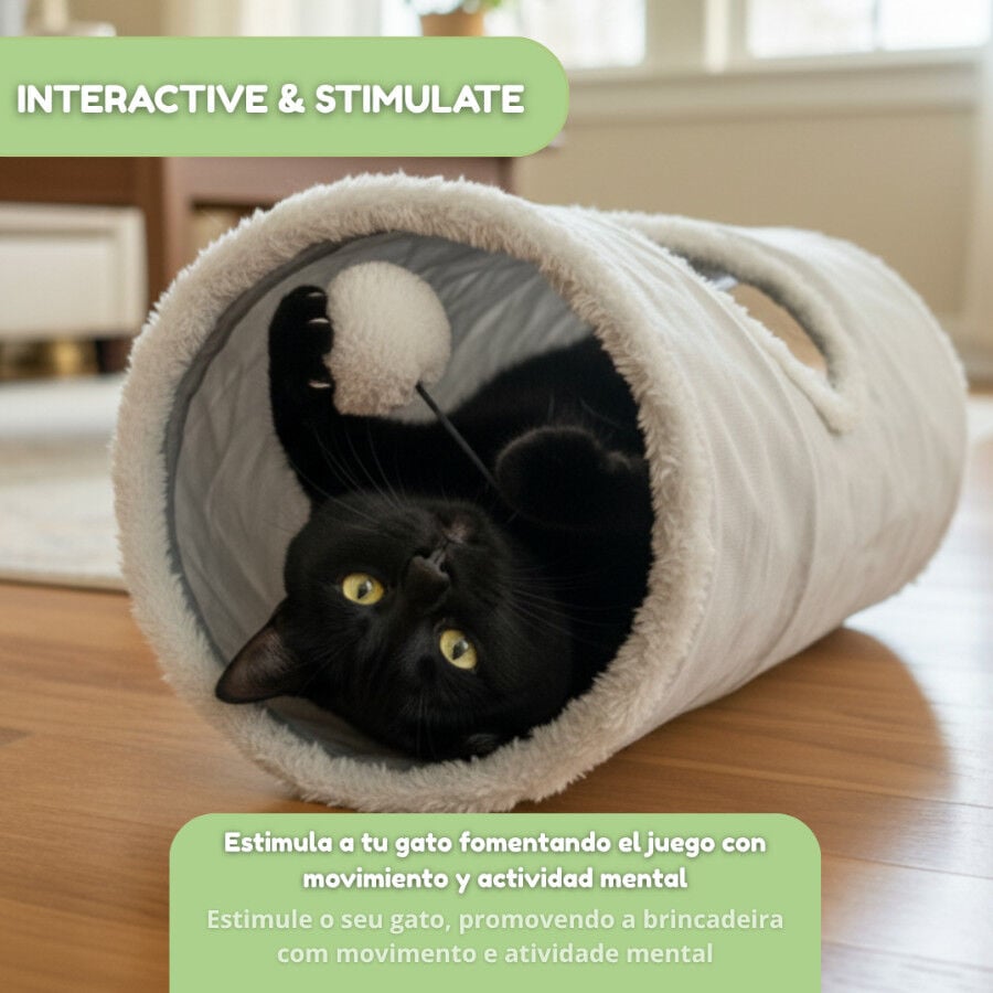 Tootoy! Tunnel con Juguete para gatos thumbnail